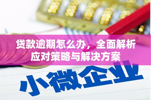 湛江贷款逾期怎么办，全面解析应对策略与解决方案