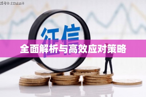 湛江全面解析与高效应对策略