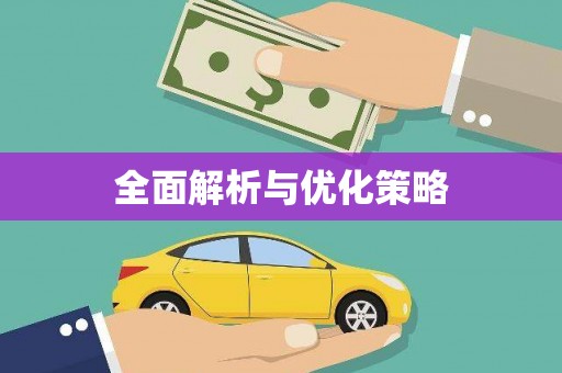 湛江全面解析与优化策略